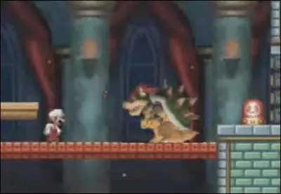 Voici une autre image d'un Mario Bros, et une nouvelle erreur  trouver ...