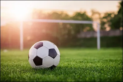 Pour toi le foot, c'est :