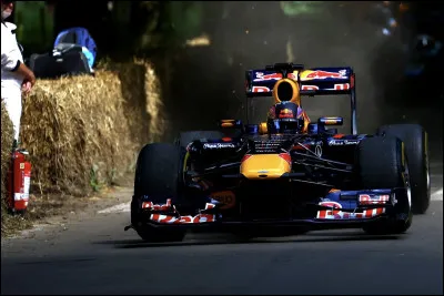 Sebastian Vettel a remport&eacute; quatre titres mondiaux cons&eacute;cutifs.