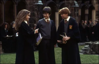 Harry, Ron et Hermione sont aussi connus sous le nom du "Golden Trio".