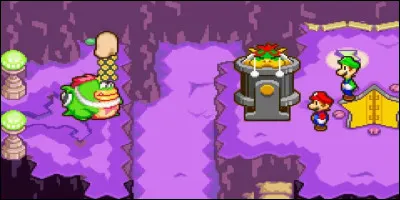 Dans &laquo;&nbsp;Mario & Luigi : Superstar Saga&nbsp;&raquo;, Bowser perd la m&eacute;moire &agrave; un moment de l'aventure.
