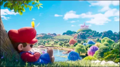 Le Royaume Champignon est voisin du Royaume de V&eacute;g&eacute;sia (Beanbean Kingdom).