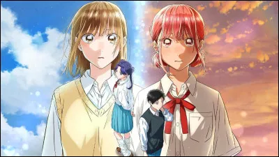 Quel est le nom de cet anime ?