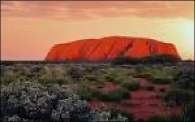 Quel mammif&egrave;re australien est connu pour porter son petit dans une poche ?