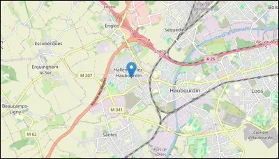 Mais propulsons-nous &agrave; Hallennes-Lez-Haubourdin et entrons dans un magasin LDM, sp&eacute;cialis&eacute; dans le commerce de d&eacute;tail de...