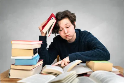 Quel est le pluriel de l'anglais &laquo; thesis &raquo; ?