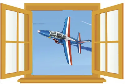 Quel est le nom de cet avion militaire utilis&eacute; par la Patrouille de France depuis 1981 ?