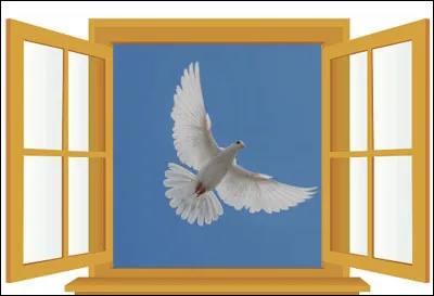 Quel est le nom de cet oiseau, symbole de paix ?