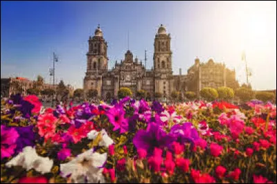 Star : Laquelle de ces stars est mexicaine ?