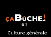 Quiz Bûche