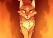 Quiz Étoile de Feu