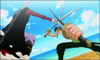 Qui a gagn&eacute; le combat Zoro contre Mihawk ?