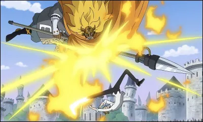Qui a gagn&eacute; le combat Sanji contre Judge ?
