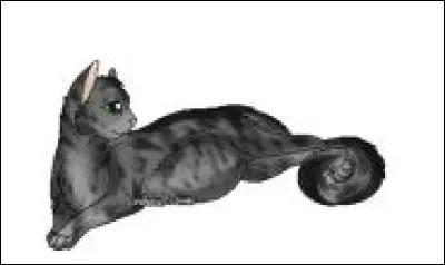 Bon. Tr&egrave;s bien. Maintenant, a-t-elle eu des chatons ?