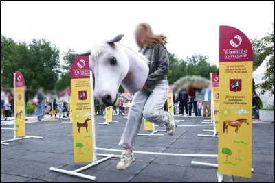 Qu'utilisent les participants du hobby horsing &agrave; la place d'un v&eacute;ritable cheval ?