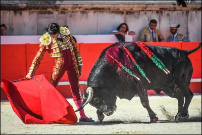 Avec quelle arme donne-t-on le coup de gr&acirc;ce en tauromachie ?
