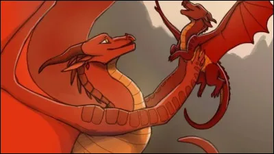 Combien as-tu de dragonnets ?