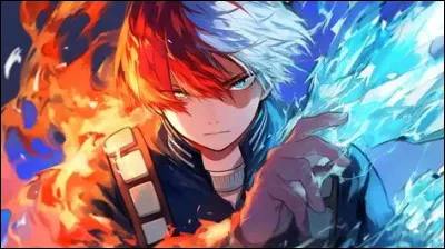 Shoto - Qui est son fr&egrave;re a&icirc;n&eacute; ?
