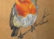 Quiz Devine le nom des oiseaux grâce à l'image