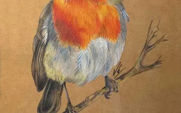 Quiz Animaux