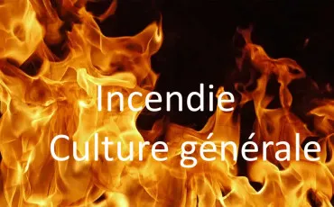 Quiz Culture générale