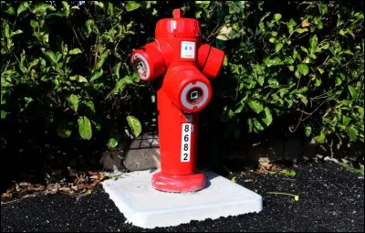 Quel autre nom donne-t-on &agrave; une ''bouche d'incendie'' ?