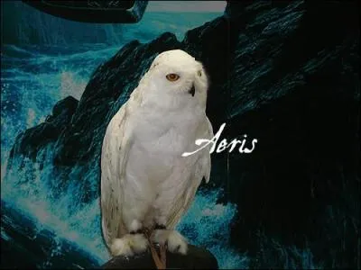 Quel est cet animal ?