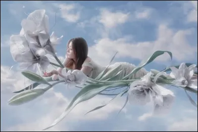 Trouve le nom du MV :