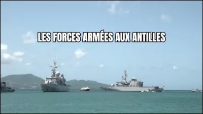 Les Forces arm&eacute;es aux Antilles (FAA) sont stationn&eacute;es principalement en&hellip;