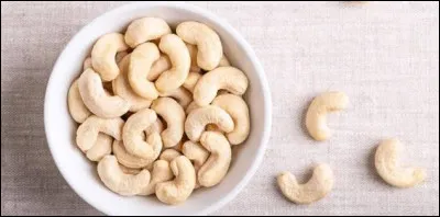 La noix de cajou est le fruit de quel arbre ?