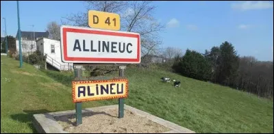 Quel est le nom de la langue traditionnelle parl&eacute;e dans une partie de la Bretagne orientale ?