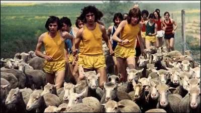 Fous : qui est le r&eacute;alisateur du film ''Les Fous du stade'' ?