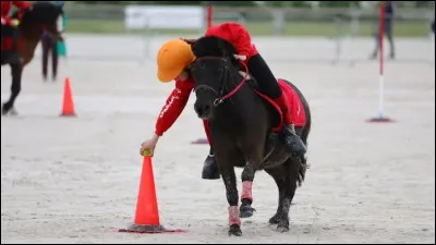 Quelle est cette discipline ?