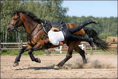 Quelle est cette discipline ?