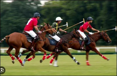 Quelle est cette discipline ?