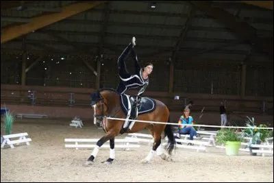 Quelle est cette discipline ?