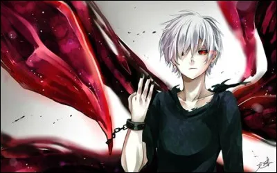C'est le h&eacute;ros de Tokyo Ghoul, nomm&eacute;...