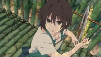 De quel manga Chakuro est-il le h&eacute;ros ?