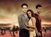 Quiz Twilight (film)