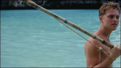 "La Plage" est un long-m&eacute;trage interpr&eacute;t&eacute; par Brad Pitt.