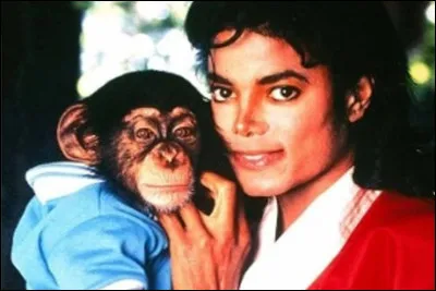 Comment s&rsquo;appelle le c&eacute;l&egrave;bre chimpanz&eacute; de Michael Jackson ?