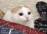 Quiz Un peu de mathématiques