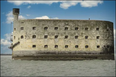 En quelle ann&eacute;e a eu lieu la premi&egrave;re diffusion de Fort Boyard ?
