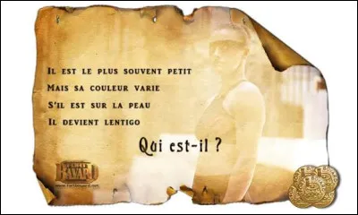 Quel personnage pose les &eacute;nigmes ?