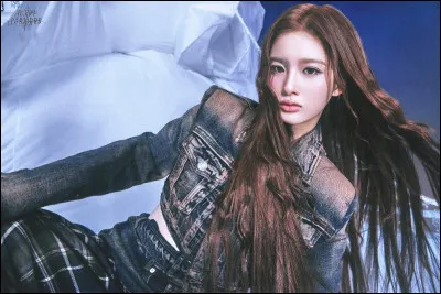 Enfin, parmis ces agences, dans lesquelles Sullyoon a t'elle auditionn&eacute; avant de devenir stagiaire chez JYP entertainment