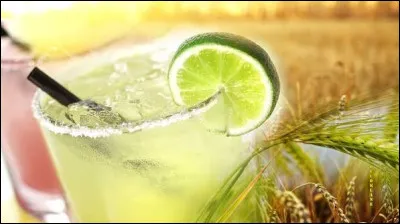 Quelle boisson ferment&eacute;e pr&eacute;colombienne &eacute;tait produite en m&acirc;chant du ma&iuml;s pour activer les enzymes salivaires ?