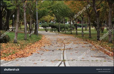 Quand tu vas au parc, que fais-tu ?
