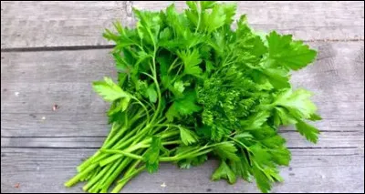 Une reine a perdu ses chatons et elle produit encore du lait. Tu cherches une plante pour l'aider &agrave; arr&ecirc;ter sa production de lait. Laquelle utilises-tu ?