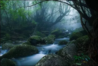 Quelle &icirc;le japonaise a inspir&eacute; le film "Princesse Mononoke" ?