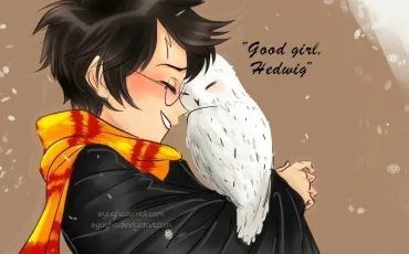 Quiz Harry potter